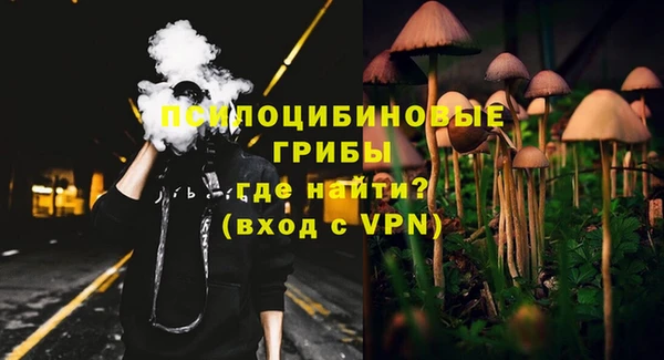 круглые Аркадак